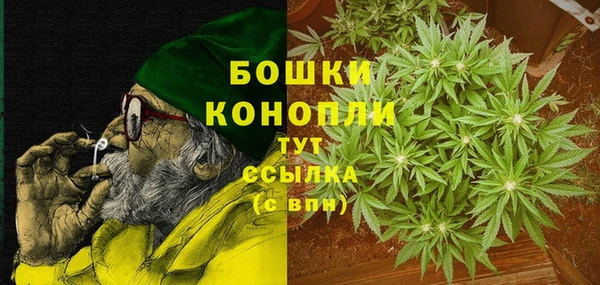 дживик Переславль-Залесский