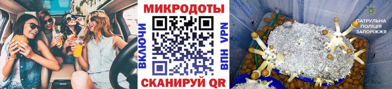 omg вход  Знаменск  Псилоцибиновые грибы Cubensis 